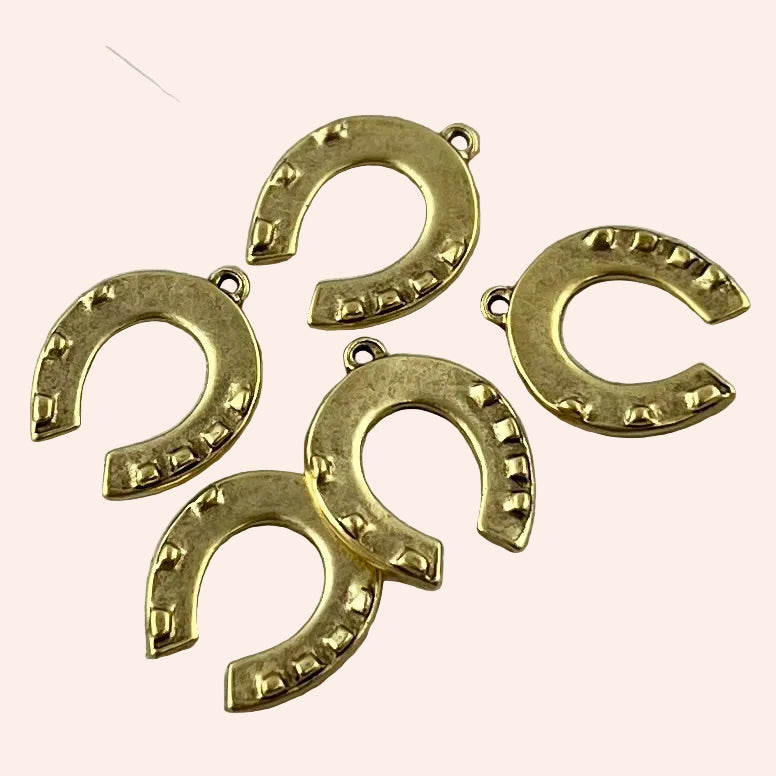 Golden Lucky Horseshoe Charmie