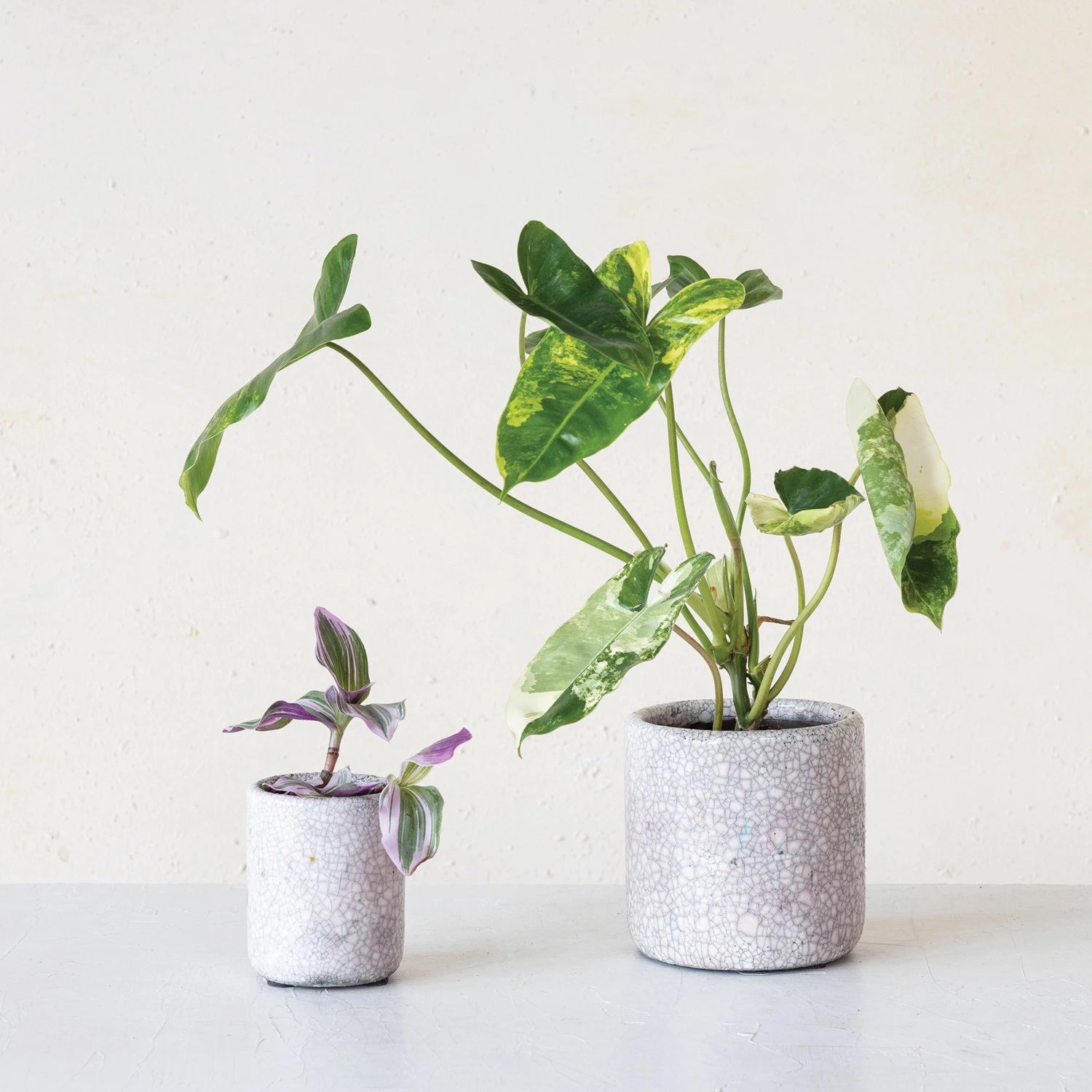 Pink Terra - cotta Planter - From Juniper With Love